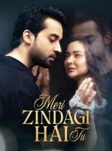 Meri Zindagi Hai Tu Pakistani drama poster
